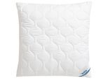 Kopfkissen BECO "EcoWell", beige (natur), B:80cm L:80cm, Obermaterial: 100% Polyester, Kopfkissen, Kopfkissen, Kissen in den Größen 40x80 cm und 80x80 cm erhältlich