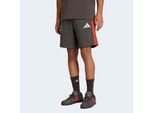 Shorts ADIDAS PERFORMANCE "AUDI REVOLUT F1 TEAM DNA", Herren, Gr. XXL, N-Gr, utility schwarz, normal, gr., Obermaterial: 55% Baumwolle, 36% Polyester, 9% Viskose, Hosen Shorts, mit Kordelverschluss, aus Baumwolle, normal-weite Passform
