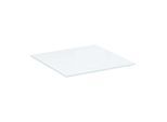 Geberit Xeno² Glasablage 500523001 45 x 0,8 x 45 cm