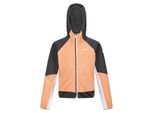 Regatta Kinder/Kids Prenton II Hooded Soft Shell Jacket (Abrikoosplet/Grijs)