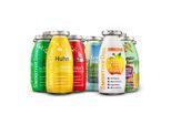 SmoothieDog Mix 12x250 ml