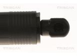 TRISCAN Gasfeder, Koffer-/Laderaum 871011308 für BMW