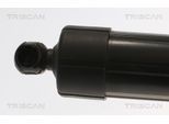TRISCAN Gasfeder, Koffer-/Laderaum 871040301 für HONDA