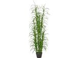 Kunstgras CREATIV GREEN "Grasbusch Carex morrowii", grün, H:150cm, Obermaterial: 100% Kunststoff, Kunstpflanzen, Kunstgras, mit naturgetreuen Halmen