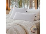 Federkopfkissen HAEUSSLING "Hygge Home, verschiedene Größen, DIN Certco biobasiert >85%", weiß, B:80cm L:80cm, Bezug: 100% Baumwolle. Füllung: 85% Entenfeder, 15% Entendaune, Kopfkissen, Federkopfkissen
