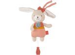 Spieluhr FEHN "Spieluhr Hase", bunt, Spieluhren, BabyB:17cm H:27cm, Spieluhr, mit herausnehmbarem Spielwerk, B:17cm H:27cm