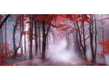 Leinwandbild BÖNNINGHOFF "Wandbild NEBEL IM HERBSTWALD 33x70 cm – Leinwandbild Keilrahmen Deko", rot (farbe rahmen: kein rahmen, farbe bild(er): rot, braun, weiß, grau), B:70cm H:33cm T:1,8cm, Canvas, MDF, Bilder, Leinwandbild, auf Keilrahmen gespannt