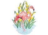 Fensterbild "Fensterbild "Flamingo" farbig", bunt, B:22cm H:30cm, Polyester, W. REUTER & SOHN - PLAUENER SPITZE, Fensterbilder, Fensterbild