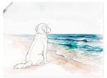 Wandbild OTTO HOME "Hund am Meer", bunt (farbe bild(er): weiß), B:80cm H:60cm T:0,1cm, Papier, Bilder, Wandbild, als Poster oder Leinwandbild in versch. Größen