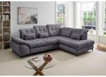 Ecksofa OTTO HOME "Delphino modern & bequem, Multifunktionen: Bettfunktion, 288cm", grau (silber, zierkissen silber), B:255cm H:94cm T:216cm, 93% Polyester, 7% Polyamid, Sofas, Ecksofa, zwei verschiedene Fußfarben wählbar
