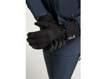 Skihandschuhe JACK WOLFSKIN "INS SKI GLOVE", Herren, Gr. XL, schwarz, Materialmix, Handschuhe Skihandschuhe
