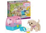 Plüschfigur BABY BORN "Mein Hund Lucky mit Box", natur, Plüschfiguren, KinderB:20cm H:26,5cm T:30cm, Plüschfigur, mit Funktion, B:20cm H:26,5cm T:30cm