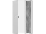 hansgrohe XtraStoris Wandnische 56088700 30x15x14cm, mit befliesbarer Tür, mattweiß