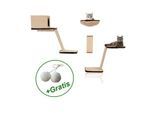 Rohrschneider Katzen Kletterwand 8-teilig mit Gratis-Spielballset