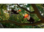 FIRESHINE GAMES Spielesoftware "Planet Zoo 2", bunt (ohne farbbezeichnung), PlayStation 5, Spielesoftware, Spielesoftware
