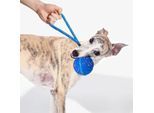 CHEERBLE WICKED BALL AIR ROPE-ROYAL BLUE