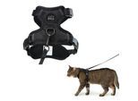 LucyBalu EXPLORER Katzengeschirr schwarz M