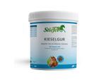 Stiefel Kieselgur 1 kg