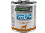 VetLife Farmina Convalescence Genesung 6x300g