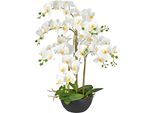 Kunstorchidee CREATIV GREEN "Phalaenopsis", weiß, Obermaterial: 100% Kunststoff, Kunstpflanzen, Kunstorchidee