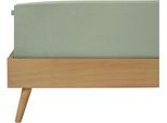 Spannbettlaken SCHIESSER "Jessi aus 100% Baumwolle", grün (hellgrün), B:100cm L:200cm, Jersey, Obermaterial: 100% Baumwolle, Bettlaken, Spannbettlaken, für Matratzen bis zu 22 cm Höhe, OEKO-TEX MADE IN GREEN