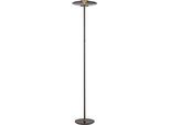NEUHAUS PURE LED Stehlampe "PURE Vitrum", schwarz (platinfarben), 1, Ø 32cm H: 180cm, 1 Stk., Leuchten, Dimmbar über Touchdimmer, LED Stehlampe