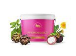 Pferdegold Stoffwechsel 1.5 kg