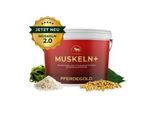 Pferdegold Muskeln+ 1.5 kg