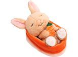 Kuscheltier NICI "Sleeping Pets GREEN, Hase 12 cm", braun (hase mit karotte im körbchen, 12 cm, braun), Plüschfiguren, KinderB:8cm H:8cm L:12cm, Plüsch, Polyester, Kuscheltier, schlafend im Körbchen, B:8cm H:8cm L:12cm