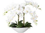 Kunstorchidee CREATIV GREEN "Deko-Orchidee Phalaenopsis in Keramikschale", weiß, B:35cm H:53cm T:15cm, Obermaterial: 95% Polyethylen, 5% Polyester, Kunstpflanzen, Kunstorchidee