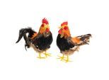 Federhahn und -huhn, 17 cm und 18 cm, 2 Stück