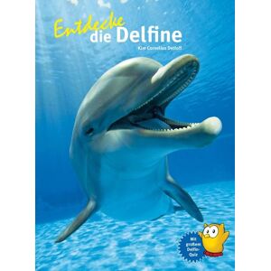 Natur Und Tier Entdecke die Delfine