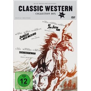 Raoul Walsh - Classic Western Collection Vol. 2 [3 DVDs]