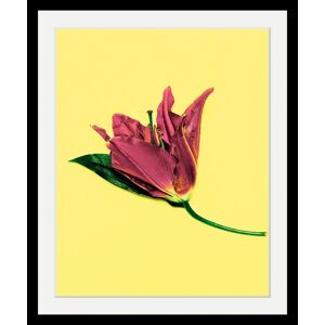 queence Bild »Blume«, in 3 Größen, gerahmt bunt B/H/T: 40 cm x 50 cm x 3 cm bunt