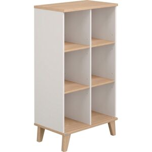 PAIDI Standregal »Fiene« Kieselgrau / Scandinavian Wood B/H/T: 120 cm x 66 cm x 40 cm Kieselgrau / Scandinavian Wood