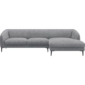 FLEXLUX Ecksofa »Belle«, Sitzaufbau hochwertiger Kaltschaum und Stahl-Wellenunterfederung Soft Grey B/H/T: 288 cm x 74 cm x 149 cm Soft Grey