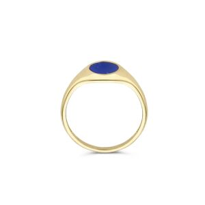 Blush Ring - Blush 585er Golden Siegelring 1214YLA/52 - Gr. 52 - in Hellblau - für Damen