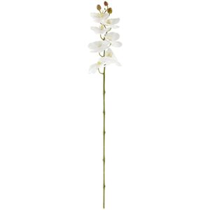 VEGA Orchideenzweig Mabou; 95 cm (L); weiß/grün