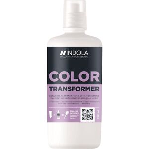 INDOLA Professionelle Haarfarbe Must Have-Produkte Demi Color Transformer