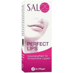 Sal 29 Perfect Lips 4g