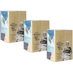 SonnentoR Winternacht Tee bio 3x18stk