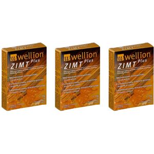 wellion Zimt Plus Kapseln 3x30stk