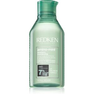 Redken Amino Mint sanftes Reinigungsshampoo für schnell fettiges Haar 300 ml
