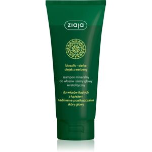 Ziaja Mineral Shampoo gegen Schuppen 200 ml