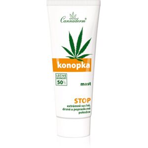 Cannaderm Konopka Dry Skin Treatment Salbe für sehr trockene Haut 75 g