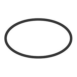 Hansgrohe O-Ring 29 x 3 mm 98371000 29x3mm