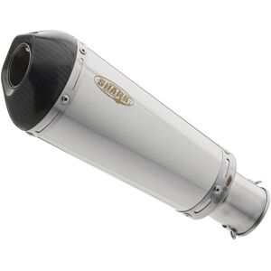 SHARK EXHAUST DSX-7 Edelstahl gebürstet/Carbon silber Silber unisex