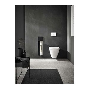 Emco Asis pure Unterputz-WC-Bürstengarnitur 975551400 170x730mm, Türanschlag links, mit Fächern, schwarz matt