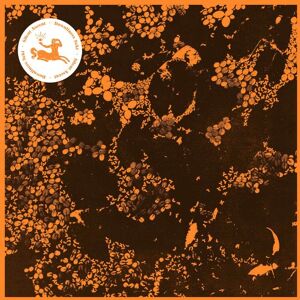 Downliners Sekt - Silent Ascent