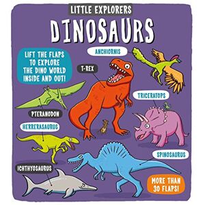 Little Bee Books - Little Explorers: Dinosaurs
